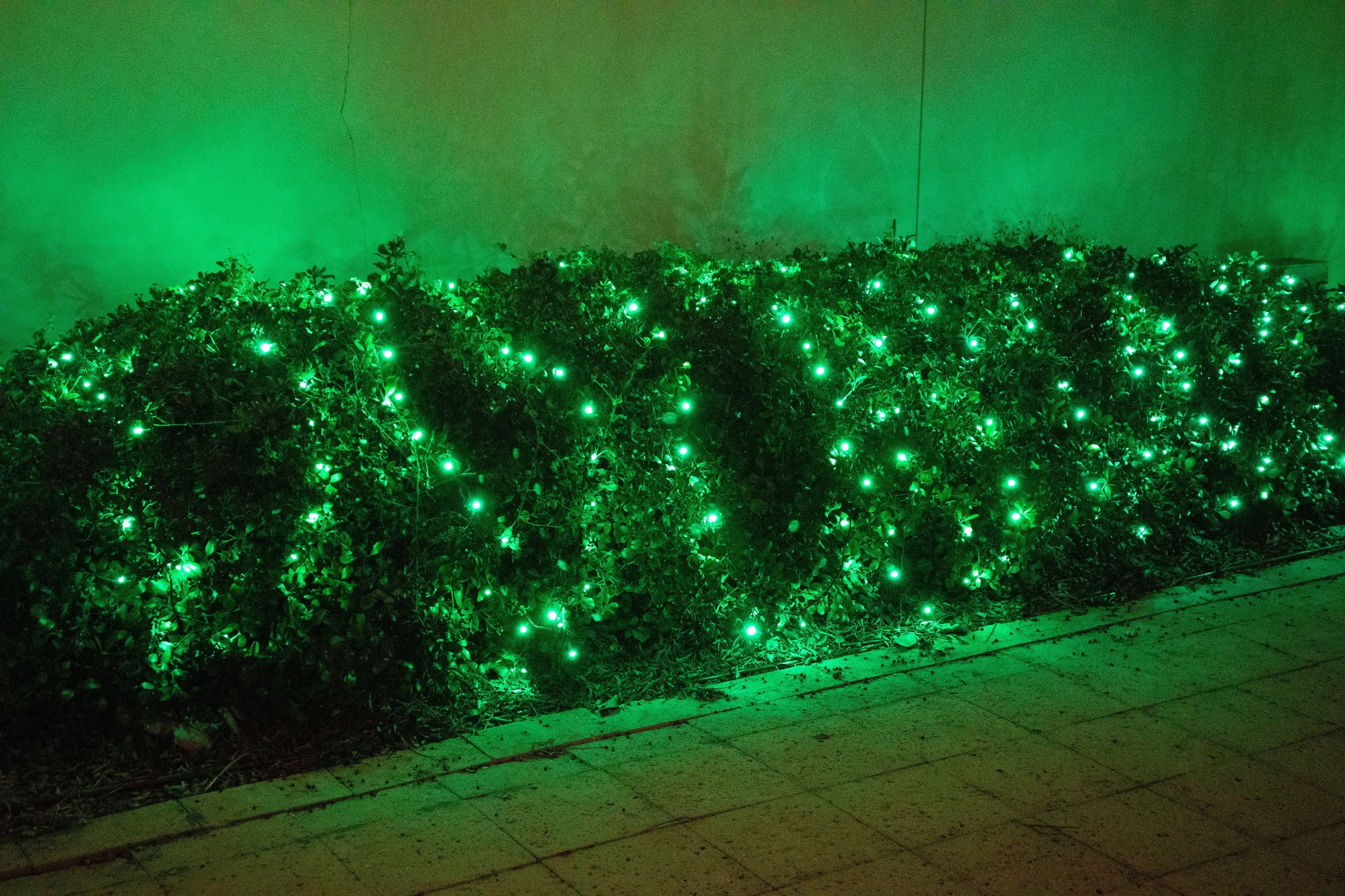 5mm LED Christmas Lights 35L Green