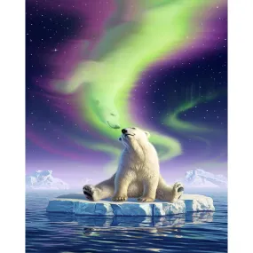 Animal - Full Square Diamond - 40x50CM