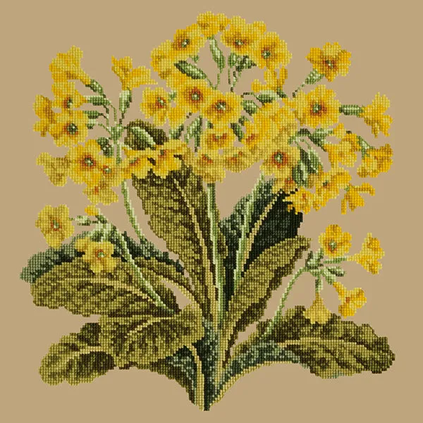 Cowslip