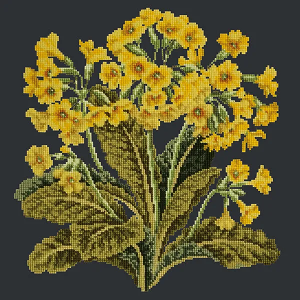 Cowslip
