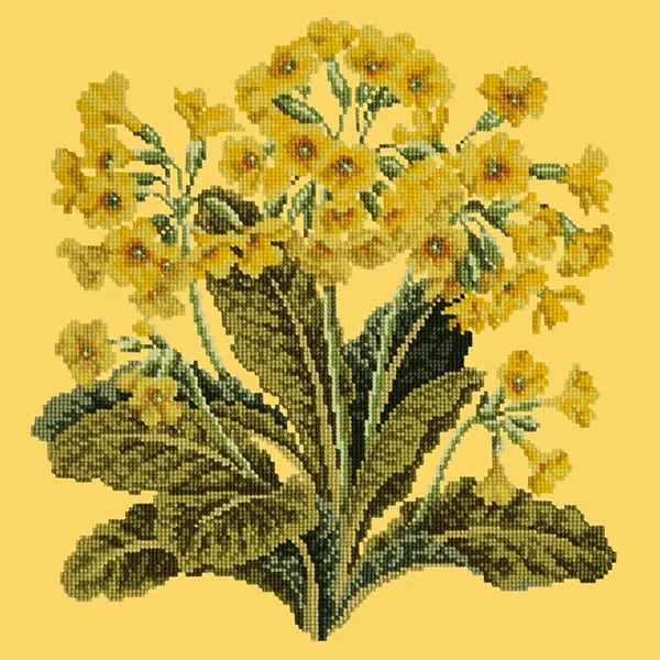 Cowslip