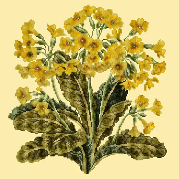 Cowslip