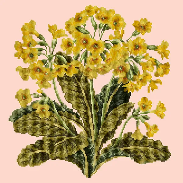 Cowslip