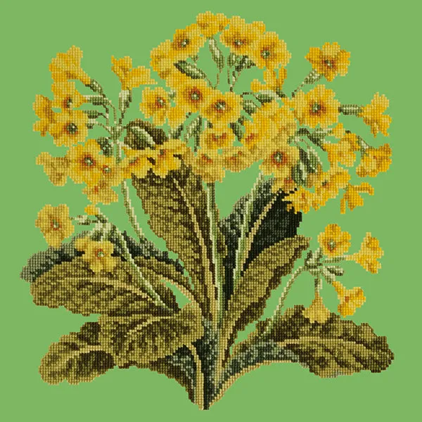 Cowslip