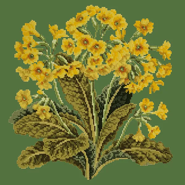 Cowslip