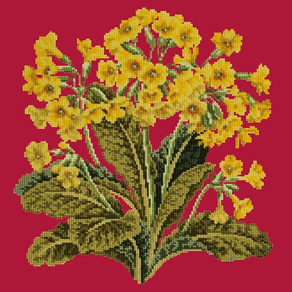 Cowslip