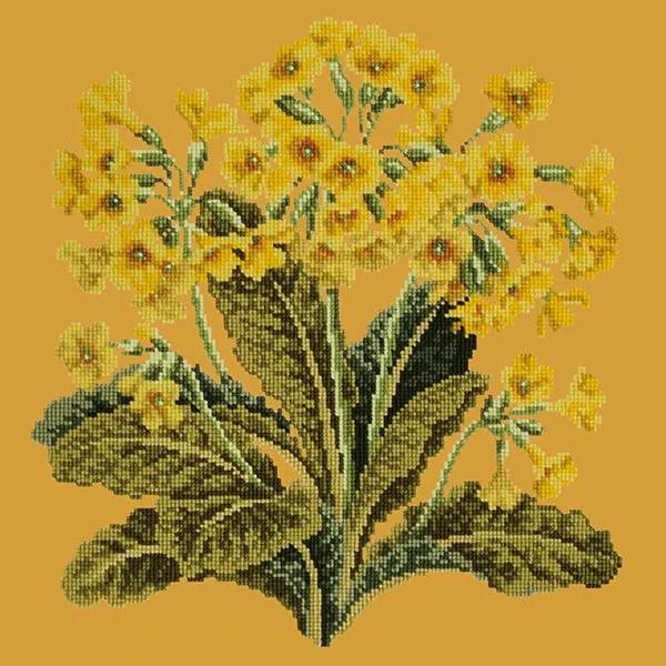 Cowslip
