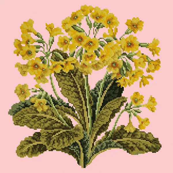 Cowslip