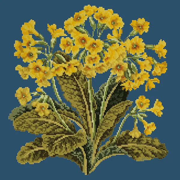 Cowslip