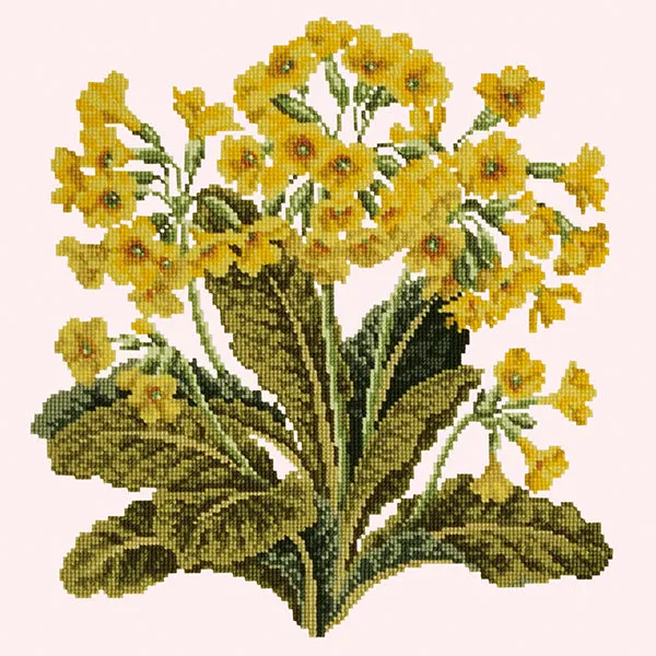 Cowslip