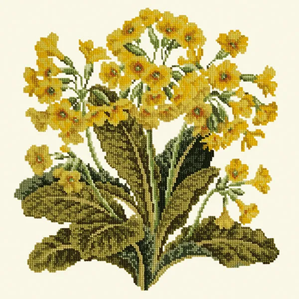 Cowslip