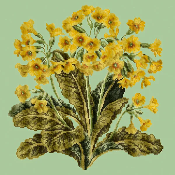 Cowslip