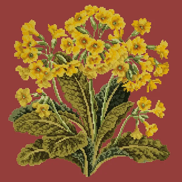Cowslip