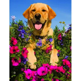 Dog Flower - Full Diamond Painting - (Canvas 30*40cm/11.81*15.75in)