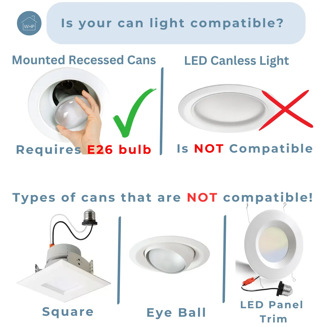 Hand-Blown Seeded Glass Brushed Nickel Instant Pendant Recessed Can Conversion Kit