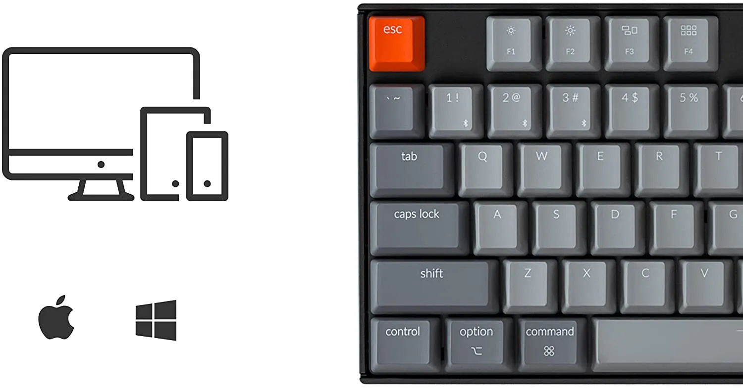 Keychron K8 Tenkeyless Wireless Mechanical Keyboard for Mac, White Backlight, Bluetooth, Multitasking, Type-C Wired Gaming Keyboard for Windows with Gateron (Blue Switch) (K8J2)
