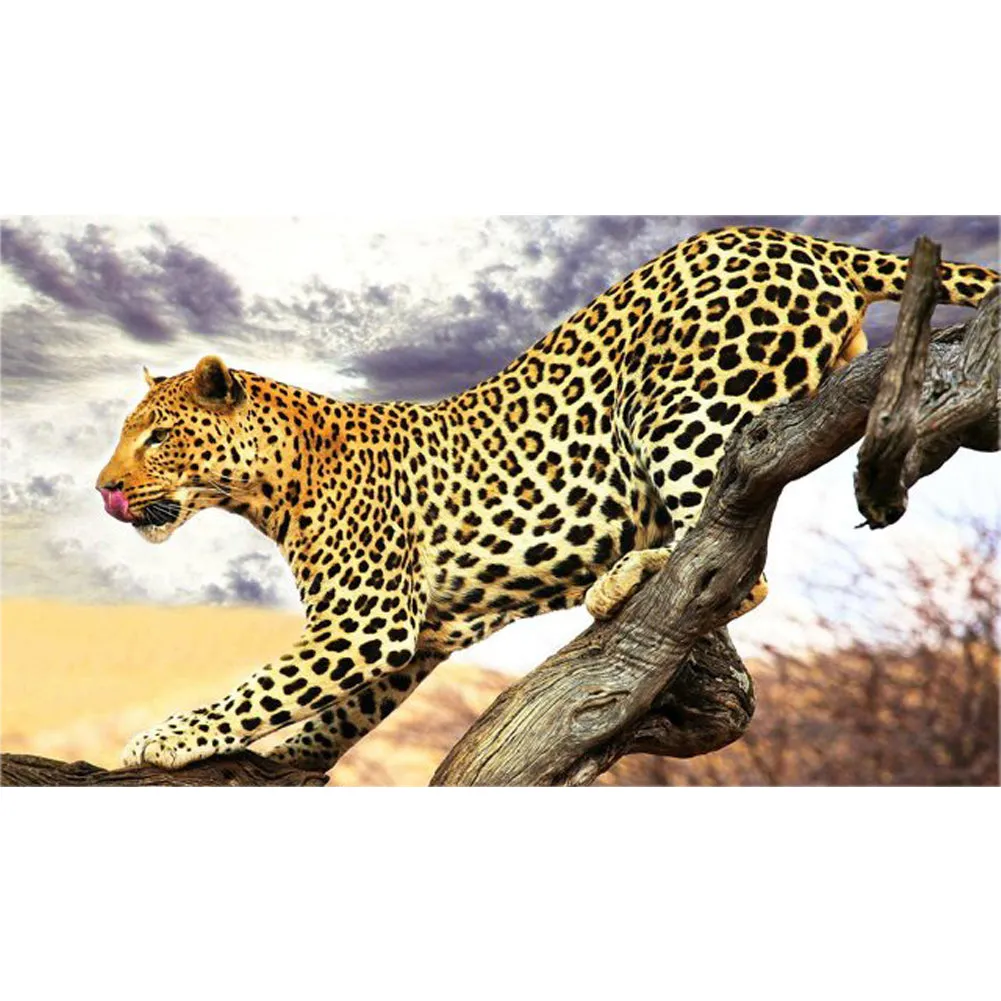 Leopard - Full Round Diamond Painting(70*40cm)
