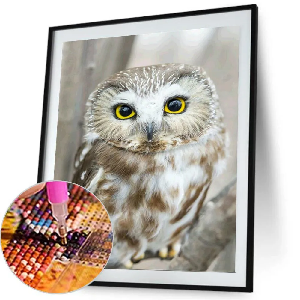 of  Owl - Full Diamond Painting - (Canvas 30*40cm/11.81*15.75in)