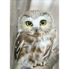 of  Owl - Full Diamond Painting - (Canvas 30*40cm/11.81*15.75in)