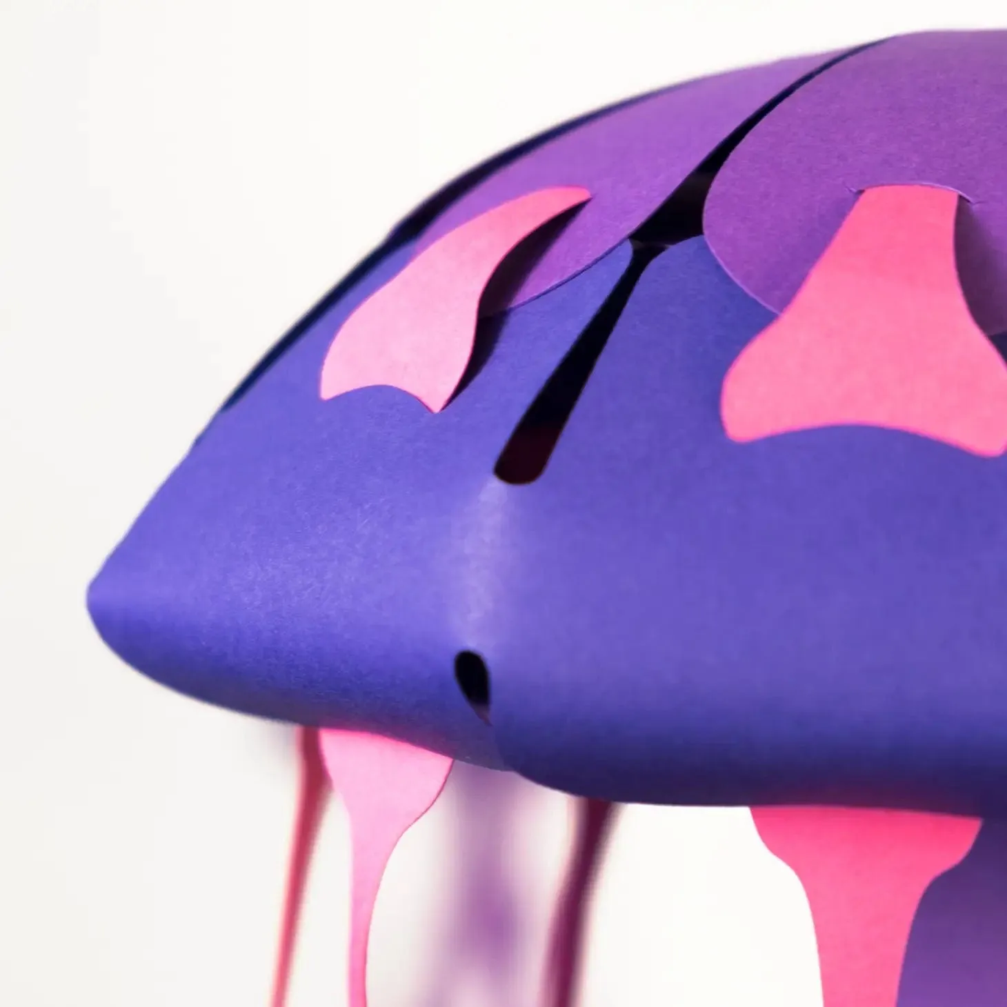Plego 3D Jellyfish Kit - Chrysaora Hysocella