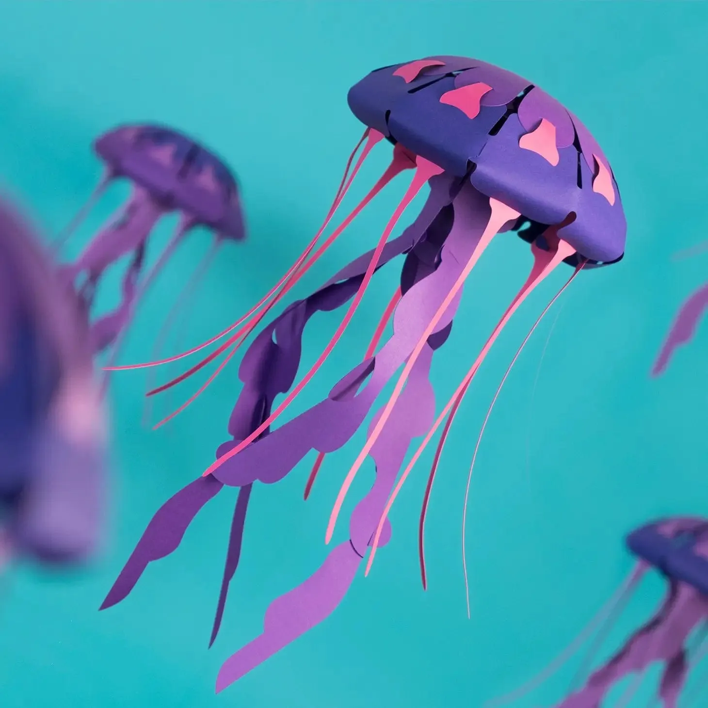 Plego 3D Jellyfish Kit - Chrysaora Hysocella