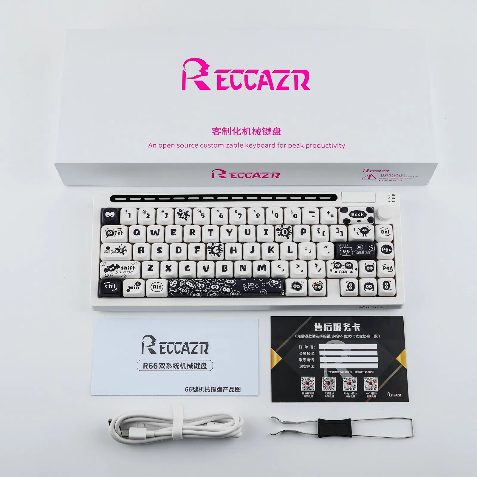 RECCAZR R66