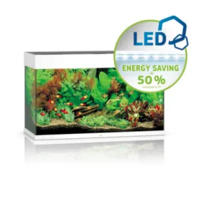Rio 125 Led - White