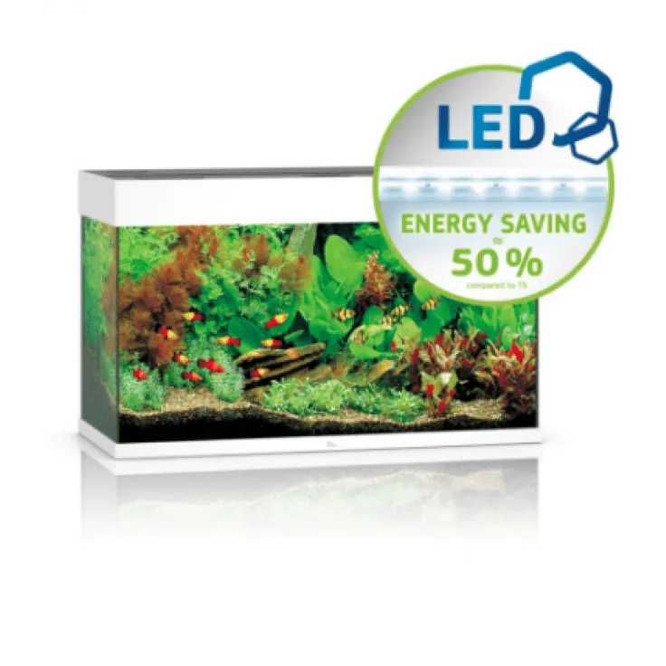 Rio 125 Led - White