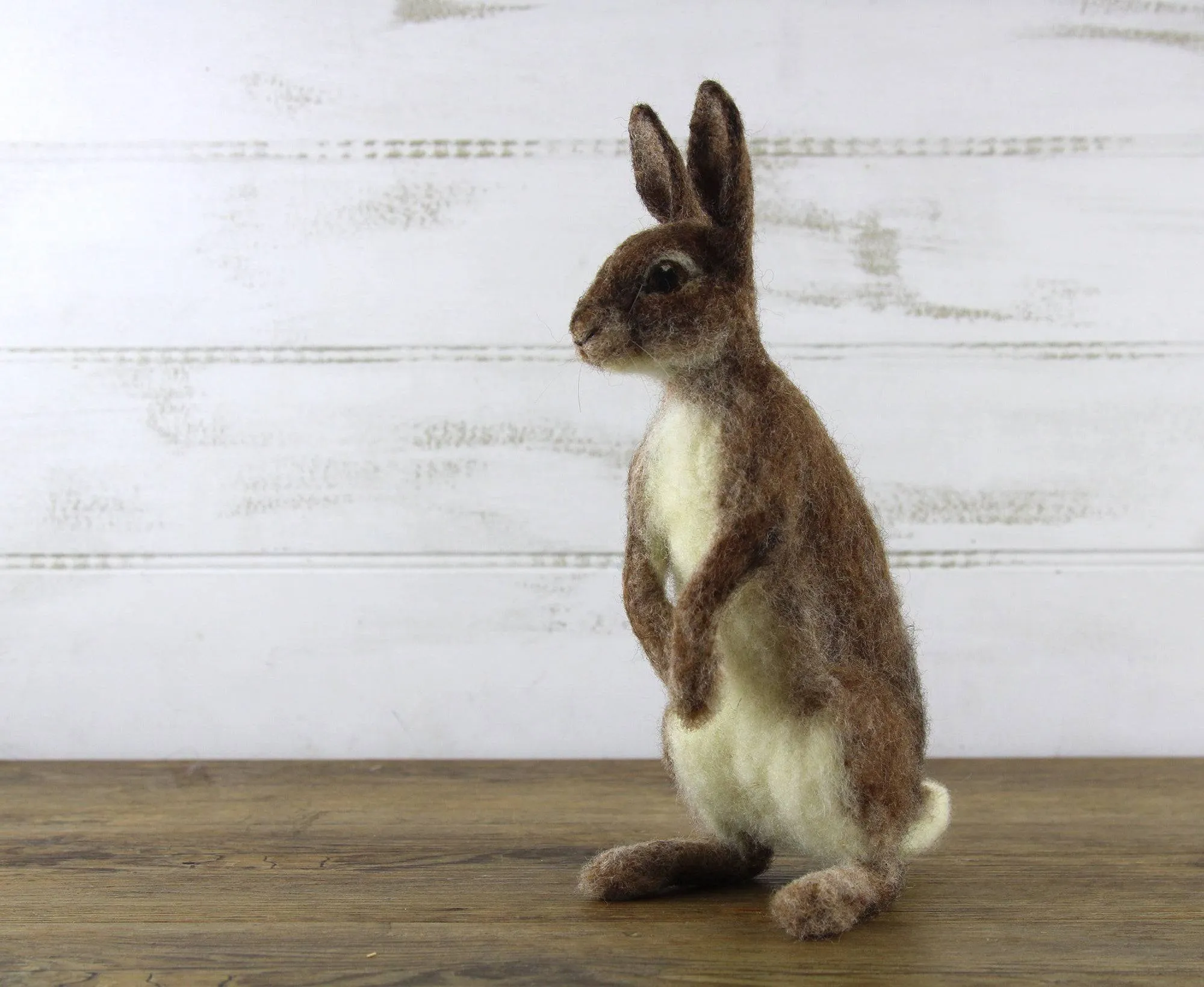 Romeo The Rabbit | Needle Felting Kit