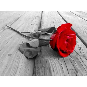 Rose Flower Valentine Day - Full Round Diamond - 50x40cm
