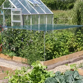 Soft Fruit Cages